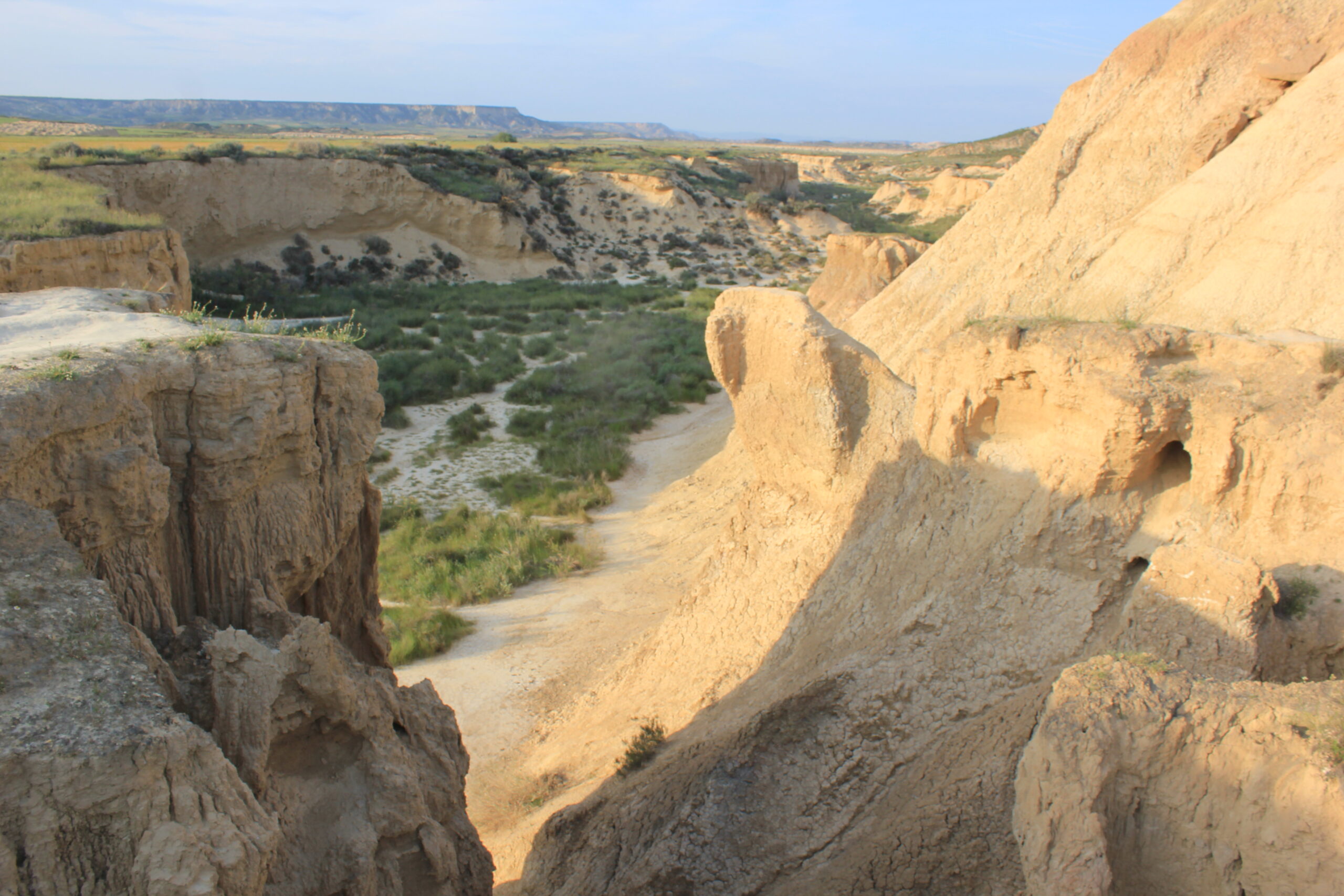 Ruta Bardena Blanca | Enjoy Bardenas